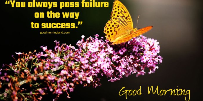 1280x720 Good Morning Wallpaper HD 2021 - Good Morning Images, Quotes, Wishes,  Messages, greetings & eCards