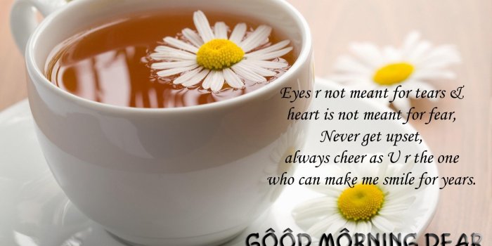 1920x1080 Good Morning Wallpapers for Android - APK Download