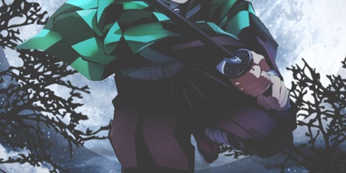 1080x2160 Tanjiro Kamado iPhone Wallpapers - Top Best Tanjiro Kamado iPhone  Backgrounds
