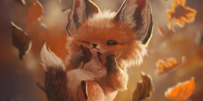 2560x1440 Fox Wallpaper - EnJpg