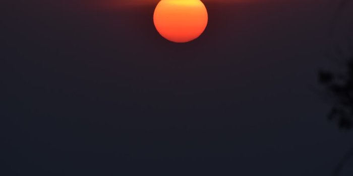 1000x1500 Red Sun Pictures | Download Free Images on Unsplash