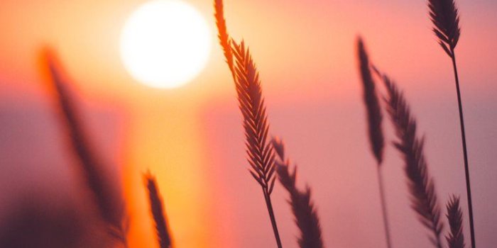 750x1334 Best Sun iPhone 8 HD Wallpapers - iLikeWallpaper