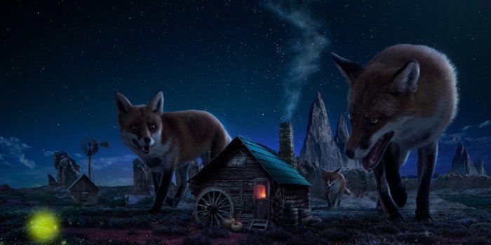 2560x1440 Fantasy Fox Wallpapers | HD Fantasy Fox Backgrounds - Wallpaper Cart