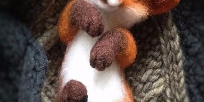 900x1440 Fox Wallpapers for Android - APK Download