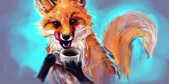 3307x2472 40+ Fox HD Wallpapers | Background Images