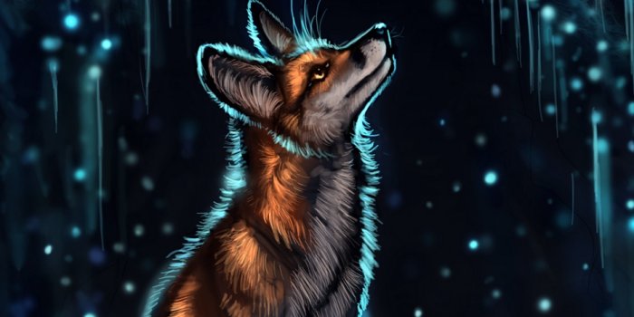938x1668 Wallpaper Fox, Glow, Glare, Art, Night - Fox Wallpaper Hd Night - 938x1668  Wallpaper - teahub.io
