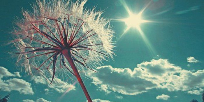 1920x1080 happy-sun-free-hd-wallpapers-for-desktop