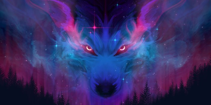 3840x2160 Fox Sky 4k, HD Artist, 4k Wallpapers, Images, Backgrounds, Photos and  Pictures