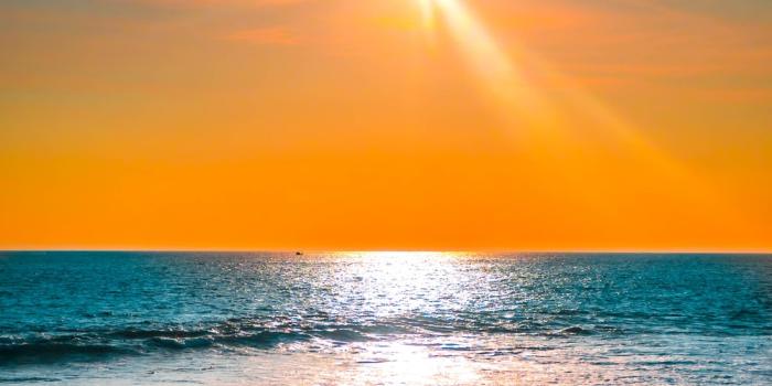 1000x1500 100+ Sun Rise Pictures [HD] | Download Free Images & Stock Photos on  Unsplash