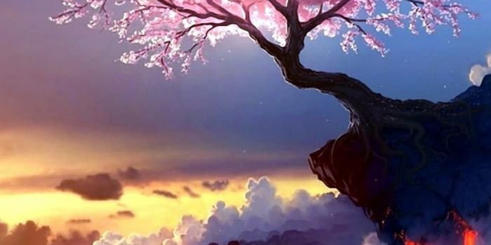 700x1438 Standing on the edge of the world | Landscape wallpaper, Beautiful  landscapes, Scenery wallpaper