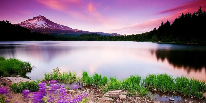 2560x1600 Best Scenery Wallpapers - Top Free Best Scenery Backgrounds -  WallpaperAccess