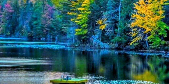 909x1616 Colourful Scenery Wallpapers