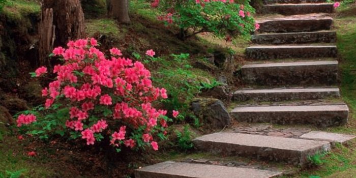 1080x1920 iPhone Garden Wallpaper - KoLPaPer - Awesome Free HD Wallpapers