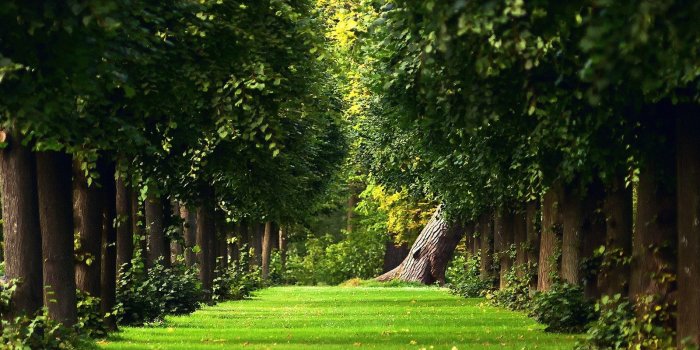 1600x1200 Green Garden Wallpapers Group (74+)