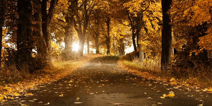 1920x1200 Fall Scenery Wallpapers Free Download