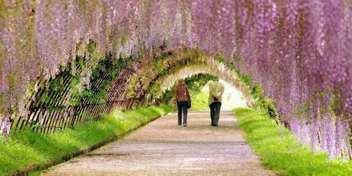 1920x1200 Wallpaper's Collection: «Garden Wallpapers»