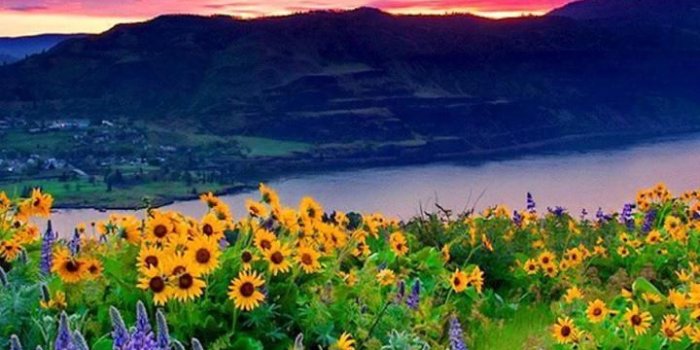 720x1280 Scenery Wallpapers for Android - APK Download