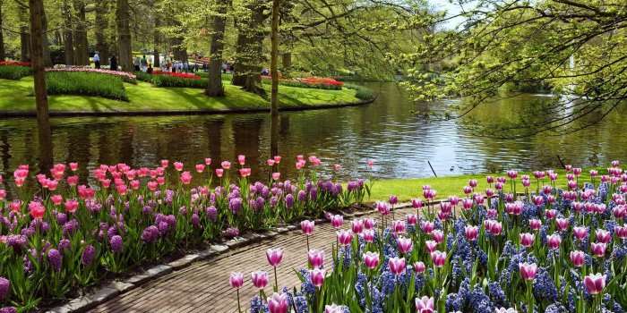 2304x1440 Beautiful Summer Garden Wallpapers Hd Desktop And Mobile - Netherlands In  The Summer - 2560x1600 Wallpaper - teahub.io