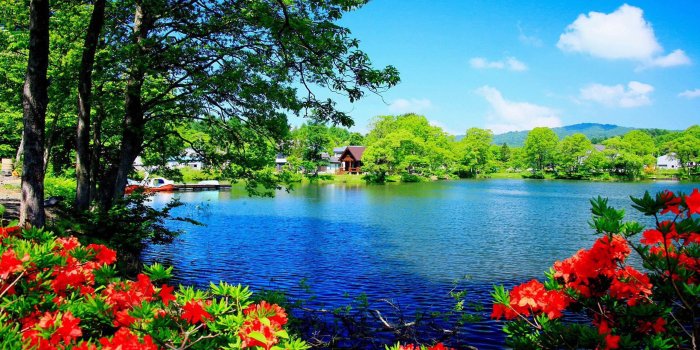 2560x1600 Beautiful Scenery Desktop Wallpapers - Top Free Beautiful Scenery Desktop  Backgrounds … in 2021 | Beautiful scenery wallpaper, Beautiful nature  wallpaper, Scenery wallpaper