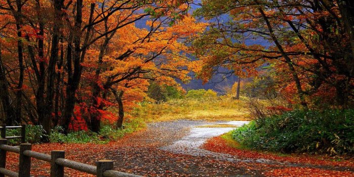 1920x1080 Fall Scenery Wallpapers