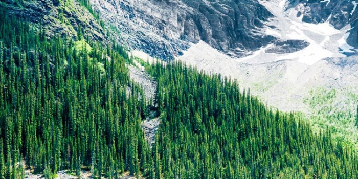 750x1334 Best Scenery iPhone 8 HD Wallpapers - iLikeWallpaper