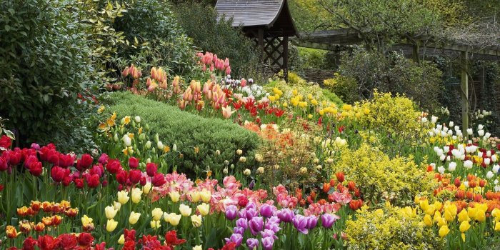 1920x1080 English Flower Garden Wallpapers - 4k, HD English Flower Garden Backgrounds  on WallpaperBat