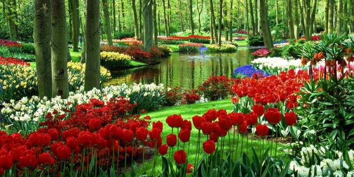 1920x1080 Garden wallpaper | 1920x1080 | #66464