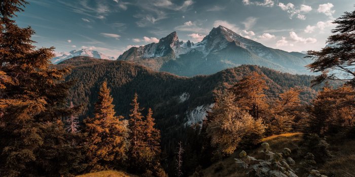 1366x768 1366x768 Forest Mountains 1366x768 Resolution HD 4k Wallpapers, Images,  Backgrounds, Photos and Pictures