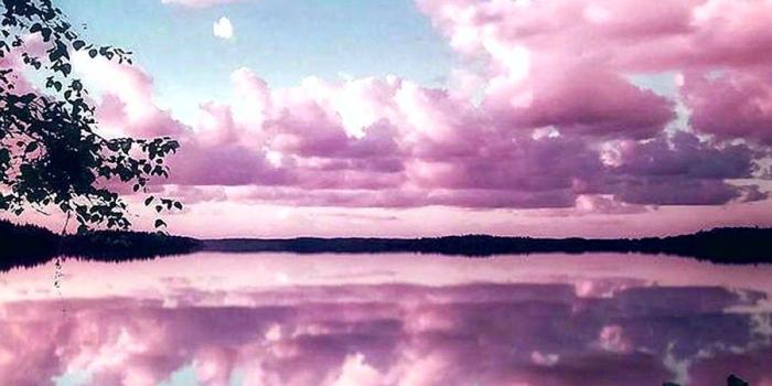 900x1600 Pink Nature Cute Wallpapers - Top Free Pink Nature Cute Backgrounds -  WallpaperAccess