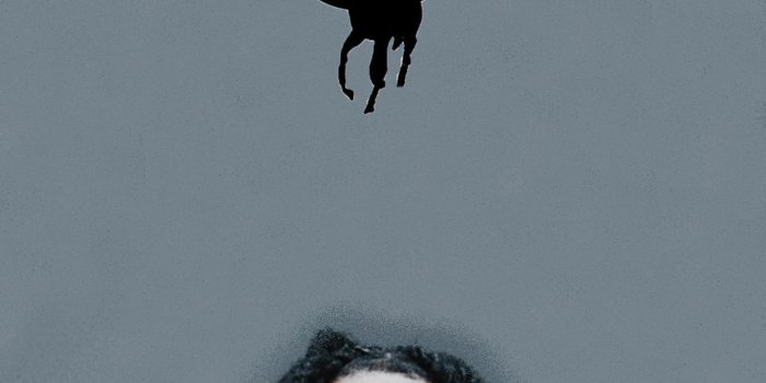 1436x3113 Pin on i p h o n e