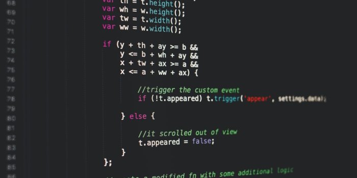 1000x1500 100+ Programmer Pictures [HD] | Download Free Images on Unsplash