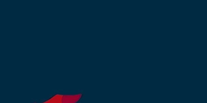 736x1264 Pixar Wallpaper for iPhone from Uploaded by user #disneyphonebackgrounds Pixar  Wallpaper for iPho… | Disney phone wallpaper, Cute disney wallpaper, Disney  wallpaper