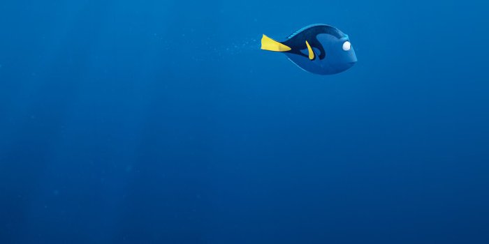 1242x2208 as23-finding-dory-disney-pixar-anime-art-illustration-wallpaper