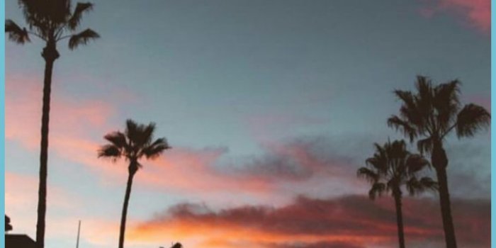 727x1293 Retro Aesthetic IPhone Wallpapers - Top Free Retro Aesthetic - Vintage Aesthetic  Wallpaper Iphone | Neat