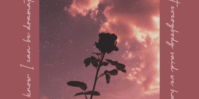 1284x2778 Aesthetic iPhone Wallpapers Free Download