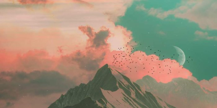 900x1600 Nature Aesthetic IPhone Wallpaper - IPhone Wallpapers : iPhone Wallpapers