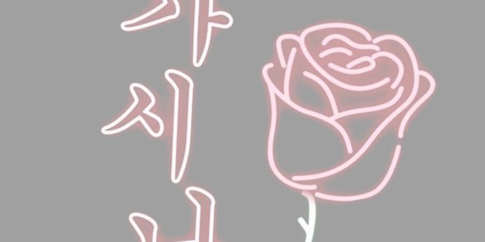 1284x2778 Grey Aesthetic iPhone Wallpapers Free Download