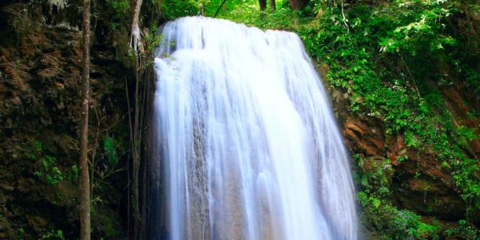 1440x2560 Beautiful Waterfall wallpapers for galaxy S6 | Waterfall wallpaper,  Beautiful waterfalls, Nature iphone wallpaper