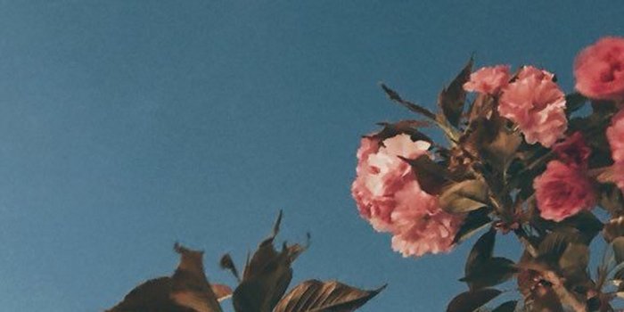 1080x1920 Aesthetic iPhone 7 Wallpaper | 2021 3D iPhone Wallpaper