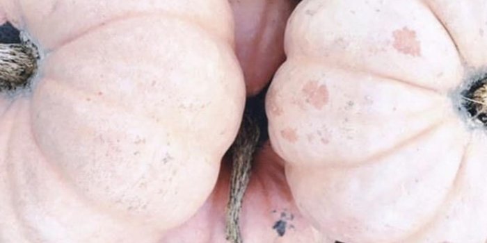 1242x2208 21 Aesthetic Fall Iphone Wallpapers You Need for Spooky Season! – Chasing  Chelsea