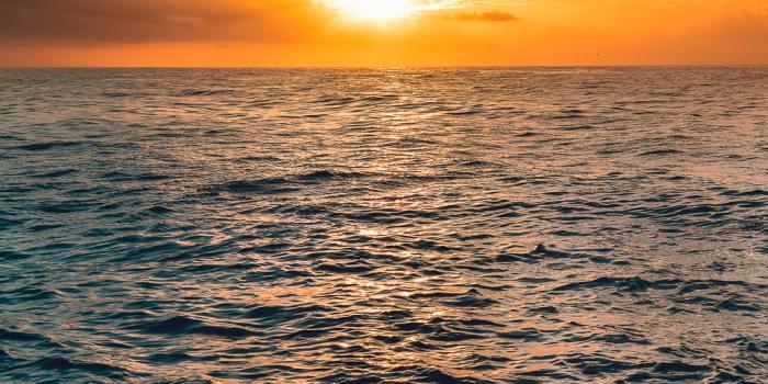 1000x1500 100+ Sun Rise Pictures [HD] | Download Free Images & Stock Photos on  Unsplash