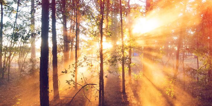 2048x2048 Sunrise wallpapers for iPhone and iPad