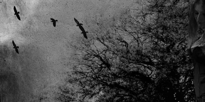 1080x1920 Gothic Phone Wallpapers - Top Free Gothic Phone Backgrounds -  WallpaperAccess