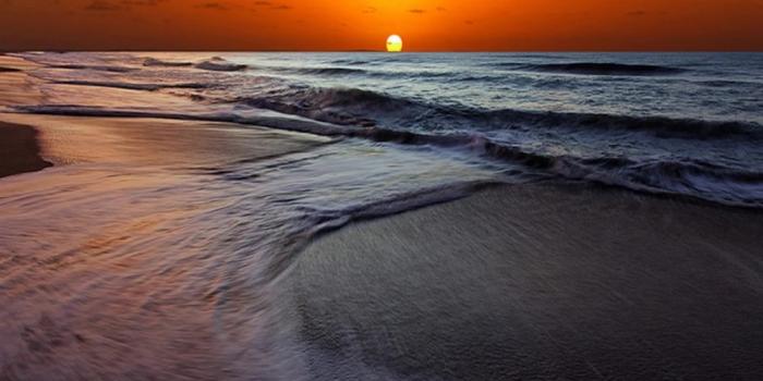 1000x900 Free Shipping Sea Beach Dusk Sunset Sunrise Sunset Sky Background Wall  Custom 3d Wallpaper Hotel Bedroom Wallpaper Good Price|Wallpapers| -  AliExpress