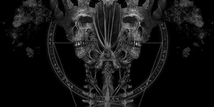 800x1422 Goth Aesthetic Wallpaper - iXpap