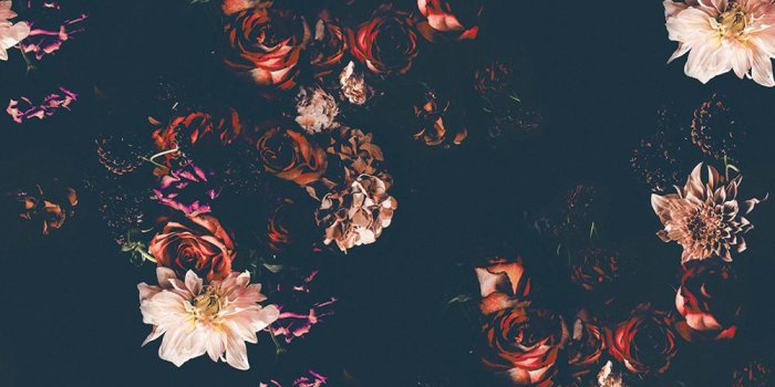 1000x1000 Modern Interior Design, Wallpaper & Removable Decals | drop it MODERN® -  Drop it Modern