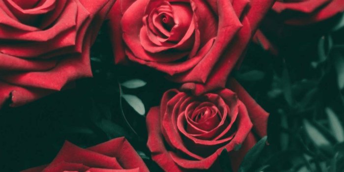 1284x2778 24 Goth Aesthetic on afari iPhone Wallpapers Free Download