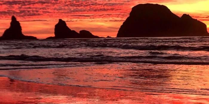 1125x2436 Beach sunrise | iPhone X Wallpapers - iPhone X Wallpapers HD