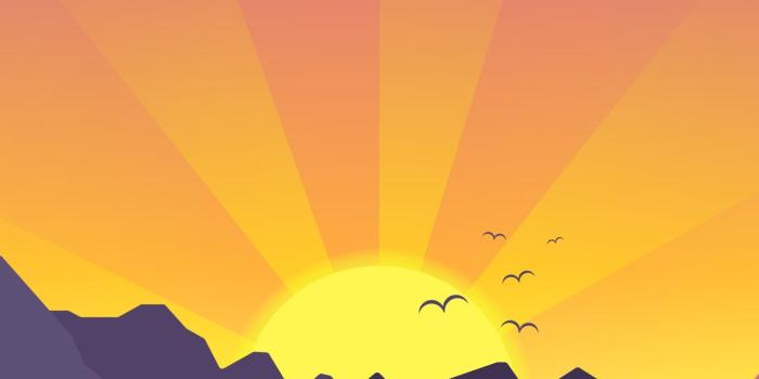 1500x3000 Sunrise | iPhone X Wallpapers - iPhone X Wallpapers HD