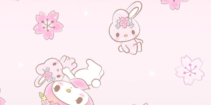 1200x2133 Sanrio Wallpaper - EnJpg